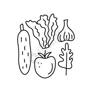 一群涂鸦蔬菜黄瓜绘画草图海报卡片插图季节沙拉团体多叶图片