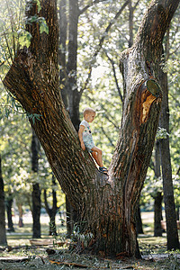一个小男孩的肖像 站在一个城市公园里的一棵大树上图片