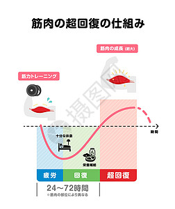 高效肌肉增长图解 超补偿机制 日本人圆周力量生长训练考试培训师运动食物健身房脂肪图片