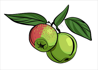 绿苹果和红苹果挂在树枝上 有叶子 用彩色草图的风格说明 带有标记图片