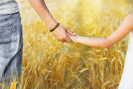 孩子和父亲在小麦田 有选择的焦点小麦友谊场地棕褐色童年手臂生活太阳父母手指图片