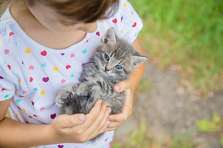 孩子们手里的小猫 有选择的专注点友谊童年猫咪宠物婴儿动物篮子男人幸福男生图片