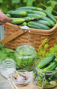 保护新鲜的黄瓜 有选择的重点香料收成食物钥匙盒子装罐房子胡椒盐渍青菜图片