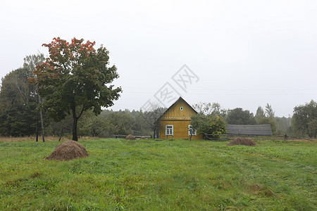 欧洲东部农村的旧木制老木制房屋房子建筑农田森林荒野栅栏农场农业环境草原图片