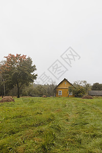 欧洲东部农村的旧木制老木制房屋旅行村庄公园花园场地农业森林农家荒野草原图片