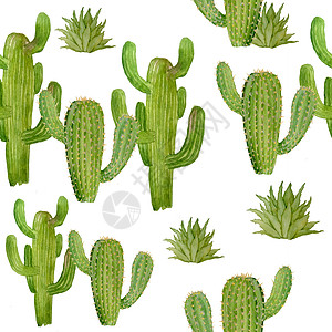 水彩手绘无缝图案的热带墨西哥仙人掌仙人掌多肉植物 绿色天然室内植物在盆栽植物印刷壁纸纺织品室内设计装饰卡通片植物群绘画沙漠收藏花图片
