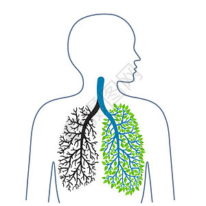 结核 肺部疾病 肺癌 促进健康的生活方式 医学 健康和生态学 矢量插图图片