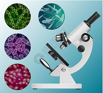 显微镜和一套不同生物形态的图象 矢量图片