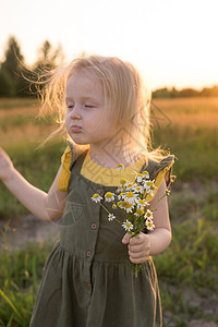 一个金发小女孩正坐在洋甘菊田上散步 收集一束鲜花 在大自然中行走 自由和干净的生活方式的概念植物女孩帽子婴儿阳光草地甘菊喜悦童年图片