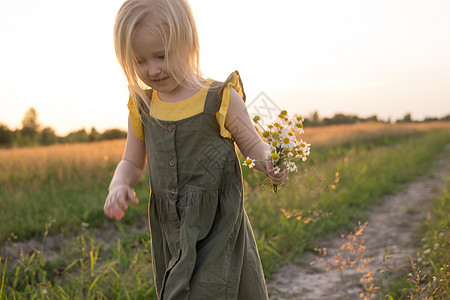 小雏菊背景一个金发小女孩正坐在洋甘菊田上散步 收集一束鲜花 在大自然中行走 自由和干净的生活方式的概念金发女郎草本植物场地喜悦孩子们阳光花背景