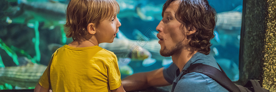 父亲和儿子在水族馆银行的隧道里看鱼男人教育探索格式娱乐假期手表海洋生活婴儿图片