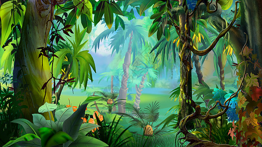 雨林中的植物图片