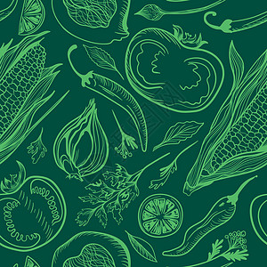 用于厨房设计的深绿色无缝向量模式花园香气插图叶子墙纸收藏食物植物绘画洋葱图片