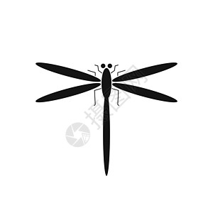 飞龙的神像 光环 矢量插图环境飞行野生动物艺术动物翅膀黑色打印漏洞白色图片