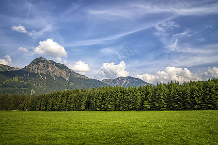 山区山脉自然景观 森林和山地景观 自然美貌等草地爬坡阴霾蓝色探索孤独松树季节荒野假期图片