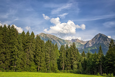 山区山脉自然景观 森林和山地景观 自然美貌等天空探索松树农村季节图层荒野旅游场地蓝色图片