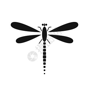 飞龙的神像 光环 矢量插图黑色翅膀漏洞标识环境昆虫野生动物飞行打印动物图片