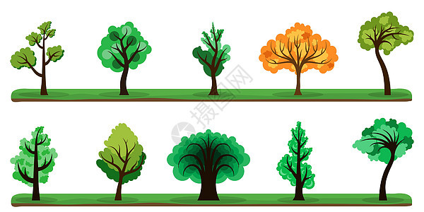 树群收藏 彩色树组 矢量树图标分离环境植物植物学松树插图叶子公园树干艺术花园图片