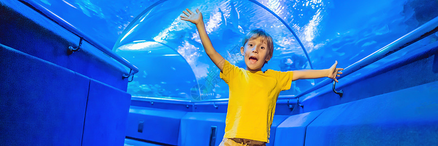 水族馆和男孩 参观海洋馆 水下隧道和孩子 室内水下野生动物 自然水生 鱼 乌龟横幅 长格式动物手表婴儿动物群家庭假期父亲海洋玻璃图片
