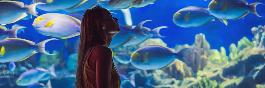 年轻女子触摸海风隧道的刺青鱼 长方圆银行 海洋馆隧道鲨鱼女孩野生动物时间旅行蓝色乐趣玻璃女性旅游图片