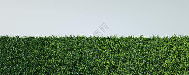 3D 有条件建筑草坪广告的背景抽象化三维草地生态体育场运动锦标赛冠军竞赛季节院子花园图片