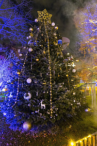 维也纳圣诞树 奥地利维也纳图片