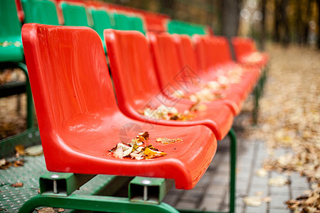 秋天叶叶上摆着空的体育场景 黄叶落在一个管家的座位上运动竞技场体育场观众建筑学看台环境公园长椅季节图片