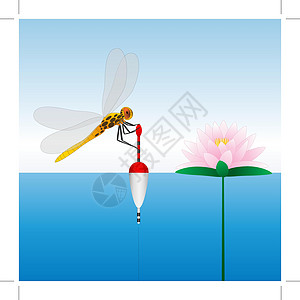 苍蝇坐在浮上 水滴 水 钓鱼旅游环境天空运动昆虫蓝色闲暇娱乐池塘荷花图片