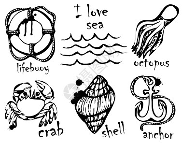 海洋动物的图形绘图 模仿墨水中的图形绘图 以海洋为主题的绘画和创意 矢量插图桌子艺术创造力生命环公民草图染料动物群离婚章鱼图片