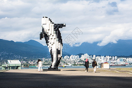 加拿大不列颠哥伦比亚省温哥华市 2020 年 9 月 2 日 艺术家道格拉斯库普兰 制作的逆戟鲸铝制雕塑 安装在温哥华会议中心旁图片