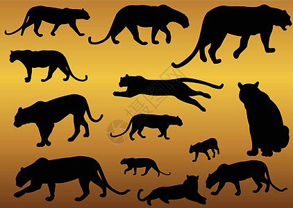 豹式掠食动物环影矢量图片