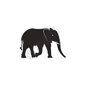 大象图标动物园哺乳动物插图野生动物树干婴儿动物动物群荒野激光图片