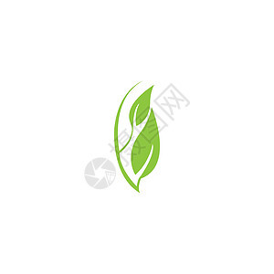 叶叶徽标插图标识环境植物生长商业生物生态绿色树叶图片