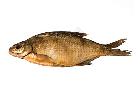孤立地将冷烟熏鱼在白色板块上漂浮光泽鳕鱼海鲜羊皮纸烹饪熏制尾巴动物腌鱼美食图片