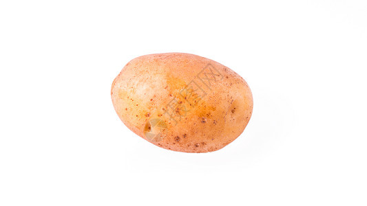 一整块土豆 白底孤立黄褐色营养块茎淀粉糖类宏观植物团体食物饮食图片