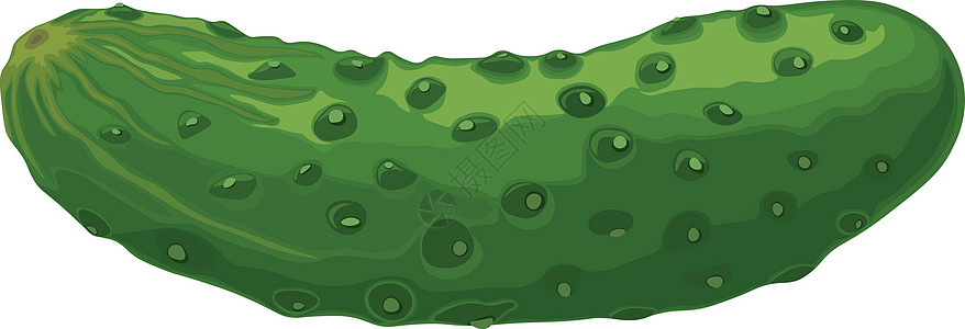 绿色黄瓜 成熟的绿色黄瓜的图像 绿色素食产品 在白色背景上孤立的矢量图插图水果健康厨房沙拉植物食物农业卡通片农场图片