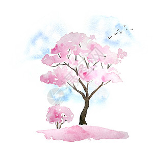 水彩手绘设计插图粉红色樱花树盛开的鲜花 天空 鸟类 落花 Hanami 节日传统日本日本文化 自然景观植物 春天三月四月的概念图片