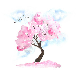 水彩手绘设计插图粉红色樱花树盛开的鲜花 天空 鸟类 落花 Hanami 节日传统日本日本文化 自然景观植物 春三月四月卡片地面季图片
