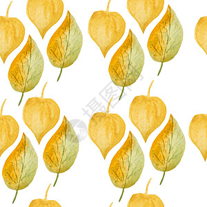 无缝手绘水彩图案与绿色黄色野草叶在木林地森林中 有机天然植物 花卉植物设计用于壁纸纺织包装纸 秋天秋天的季节草图叶子墙纸草本植物图片
