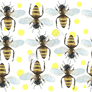 水彩无缝的手画图案 上面有小蜜蜂 自然昆虫 夏季感应现代设计 蜂窝为纺织墙纸包装纸而绘制的黄色白色背景 耐养动物场蜂巢插图手绘纺图片