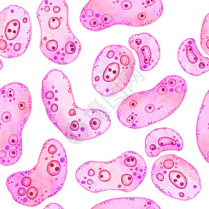 粉红色紫色细胞微藻微生物 显微镜生物藻类的水彩无缝图案 化妆品医学保健印刷设计的概念 柔和的变形虫细菌 柔软的椭圆形圆形图片