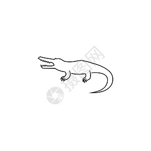 鳄鱼图标动物园动物热带危险尾巴卡通片捕食者标识艺术身份图片