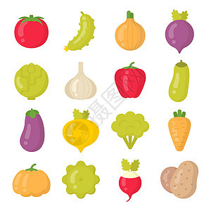 明亮的蔬菜隔离色素 孤立多彩矢量图标集图片
