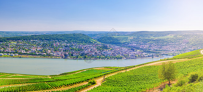 莱茵河峡谷或上中莱茵河谷酿酒区天线地平线旅行地区场地葡萄园农业风景农村爬坡图片