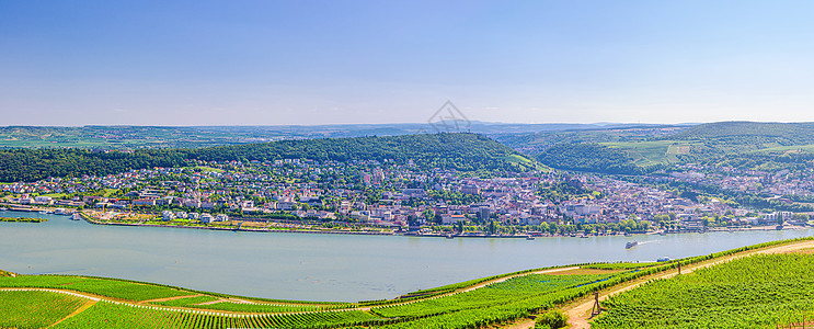 莱茵河峡谷或上中莱茵河谷酿酒区葡萄园风景场地旅行天线农业全景爬坡地区地平线图片