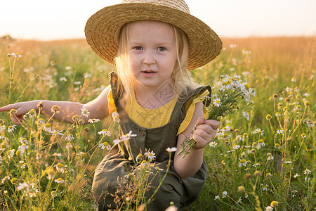 一个戴着草帽的金发小女孩拿着一束雏菊走在田野里 走在自然 自由和生态友好型生活方式中的概念孩子们植物童年帽子小家伙金发女郎野生动图片