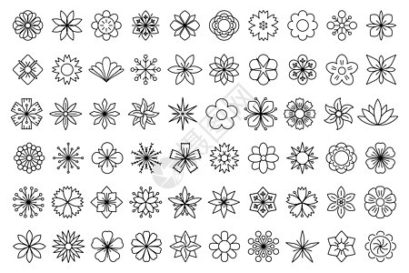 花图标 线性花图标集 矢量图茉莉花插图植物群艺术雏菊花瓣礼物郁金香玫瑰向日葵图片