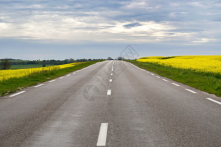 穿过光辉的乡村地貌的道路场地牧场农村运输爬坡风景场景草地国家驾驶图片