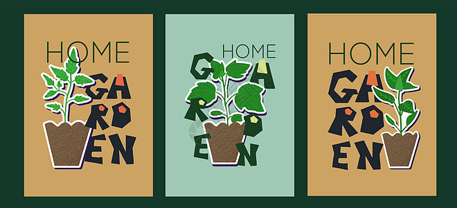 一套配有花园植物的海报 番茄 黄瓜 胡椒和短语家庭园艺 生物生物学设计 Trindy艺术抽象背景图片