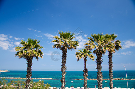 意大利南部Puglia巴里市的亚得里亚海岸海岸线长廊石头海滩灯柱码头棕榈天空风景港口图片